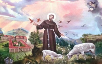 Do We Need Another Saint Francis?