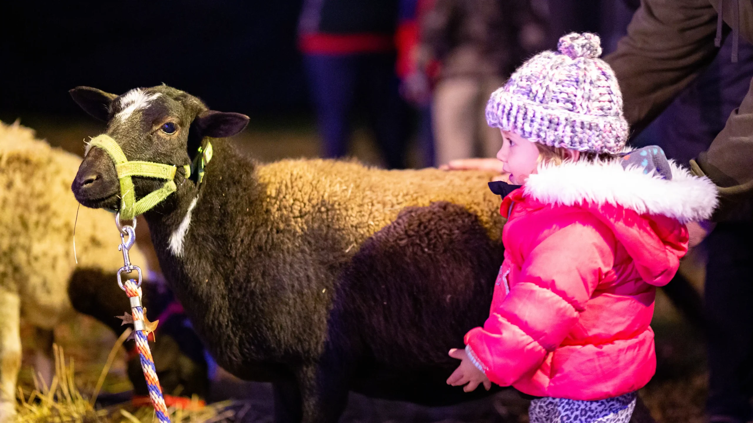 Indianapolis Live Nativity