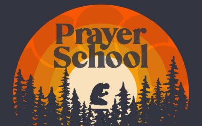 Weekly News 8/19/26